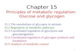 1 Chapter 15 Principles of metabolic regulation: Glucose and glycogen 15.1 The metabolism of glycogen in animals 15.2 Regulation of metabolic pathways.