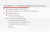 Chapter 7: Photosynthesis (Outline)  Photosynthetic Organisms Flowering Plants as Photosynthesizers  Photosynthesis Light Reactions  Noncyclic Pathway.