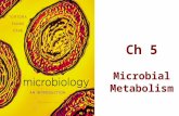 Ch 5 Microbial Metabolism. Student Learning Outcomes: Differentiate between, anabolism, and catabolism. Identify the components of an enzyme and describe.