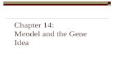Chapter 14: Mendel and the Gene Idea. Inheritance  The passing of traits from parents to offspring.  Humans have known about inheritance for thousands.
