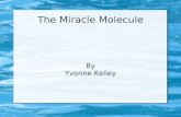 The Miracle Molecule By Yvonne Kelley. Water is an amazing molecule Water covers 70% of our planet and all of life depends on it Water makes up to 60%