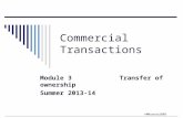 ©MNoonan2009 Commercial Transactions Module 3 Transfer of ownership Summer 2013-14.