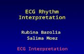 ECG Rhythm Interpretation Rubina Barolia Salima Moez ECG Interpretation.