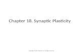 Chapter 18. Synaptic Plasticity Copyright © 2014 Elsevier Inc. All rights reserved.