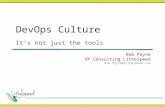 DevOps Culture It’s not just the tools Bob Payne VP Consulting LitheSpeed Bob.Payne@lithespeed.com.