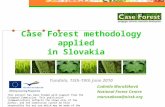 Case Forest methodology applied in Slovakia Ľudmila Marušáková National Forest Centre marusakova@nlcsk.org Yundola, 15th-19th June 2010 This project has.