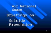 1 Air National Guard Briefings on: Suicide Prevention.