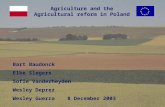 Agriculture and the Agricultural reform in Poland Bart Baudonck Elke Slegers Sofie Vanderheyden Wesley Deprez Wesley Guerra8 December 2003.