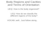 Body Regions and Cavities and Terms of Orientation UEQ: How is the body organized? LEQ: How do we classify the different regions of the body? VOCAB: well..