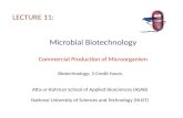 Microbial Biotechnology Commercial Production of Microorganism LECTURE 11: Biotechnology; 3 Credit hours Atta-ur-Rahman School of Applied Biosciences (ASAB)
