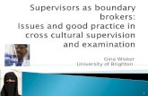 Gina Wisker University of Brighton 1.  Context, some assumptions, THE phone interview  Culturally inflected doctoral study and supervision  Supervisors.