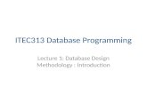 ITEC313 Database Programming Lecture 1: Database Design Methodology : Introduction.