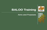 BALOO Training Aims and Purposes. BALOO - Aims and Purposes Learning Objectives Learning Objectives Explain the Scope of this training. Describe the guidelines.