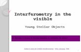 Interferometry in the visible Young Stellar Objects 1 M. Benisty, S. Kraus, K. Perraut (leader), G. Schaefer, M. Simon Science cases for visible interferometry.