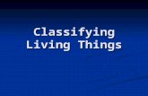 Classifying Living Things. Classification Classification is the process of grouping things based on their shared traits. Classification is the process.
