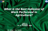 What is the Best Indicator of Work Performed in Agriculture? IACS-4 Beijing 22-24 October 2007 Pál Bóday - Éva Laczka.