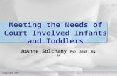 Meeting the Needs of Court Involved Infants and Toddlers JoAnne Solchany PhD, ARNP, RN, BC Copyright 2007.