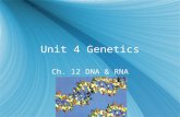 Unit 4 Genetics Ch. 12 DNA & RNA. Griffith & Transformation  Griffith injected mice with 4 different samples of bacteria  When injected separately,
