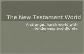 A strange, harsh world with tenderness and dignity The New Testament World.