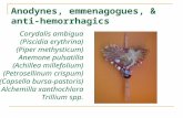 Corydalis ambigua (Piscidia erythrina) (Piper methysticum) Anemone pulsatilla (Achillea millefolium) (Petrosellinum crispum) (Capsella bursa-pastoris)