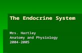 The Endocrine System Mrs. Hartley Anatomy and Physiology 2004-2005.