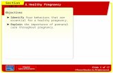 Section 19.2 A Healthy Pregnancy Slide 1 of 17 Objectives Identify four behaviors that are essential for a healthy pregnancy. Explain the importance of.