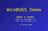 WinBUGS Demo Saghir A. Bashir Amgen Ltd, Cambridge, U.K. Email: saghir_bashir@hotmail.com 4 th January 2001.