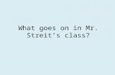 What goes on in Mr. Streit’s class?. Mr. Streit’s class Vocabulary/spelling homework Grammar homework Shared Inquiry short story unit Disciplined Literacy.