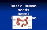 Basic Human Needs Bowel Elimination. Bowel Elimination GI Tract is a series of hollow mucous membrane lined muscular organs GI Tract is a series of hollow.