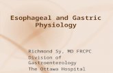 Esophageal and Gastric Physiology Richmond Sy, MD FRCPC Division of Gastroenterology The Ottawa Hospital Sept. 8, 2015.