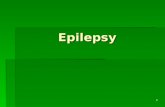 Epilepsy 1. Seizures A seizure is as a sudden, disorderly discharge of cerebral neurons. Seizures involve a transient alteration in brain function (motor,