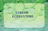STREAM ECOSYSTEMS. What is a stream? A flowing body of water confined within a bed and banks Does a stream really end at the edge of the water?