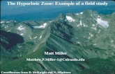 The Hyporheic Zone: Example of a field study Matt Miller Matthew.P.Miller-1@Colroado.edu Contributions from D. McKnight and N. Mladenov.