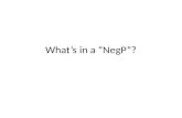 What’s in a “NegP”?. We will now review further arguments in favor of the hypothesis that what we call “NegP” originates as an internally layered XP encoding.