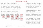 V5 Cell Cycle  The cell cycle, or cell-division cycle, is the series of events that takes place in a cell leading to its division and.