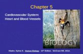Chapter 5 Cardiovascular System: Heart and Blood Vessels Mader, Sylvia S. Human Biology. 13 th Edition. McGraw-Hill, 2014.