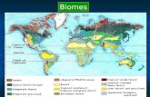 Biomes. What is a biome? What is a biome? A large area with similar climate and soil conditions. A large area with similar climate and soil conditions.
