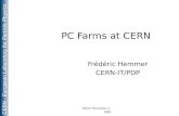 CERN - European Laboratory for Particle Physics DESY November 2, 1998 PC Farms at CERN Frédéric Hemmer CERN-IT/PDP.