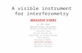 A visible instrument for interferometry MASSIVE STARS by Ph. Stee Massive Stars sub-group: Borges Fernandes Marcelo Carciofi Alex de Wit Willem-Jan Domiciano.