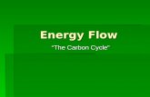 Energy Flow “The Carbon Cycle”. Where do we get all of our energy?  Directly or indirectly, almost all organisms get the energy needed for metabolism.
