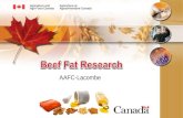 AAFC-Lacombe. Why conduct beef fat research? A 1200 lb steer with ½ inch backfat, average muscling, yields a 750 pound carcass. The 750 pound carcass.