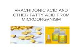 ARACHIDONIC ACID AND OTHER FATTY ACID FROM MICROORGANISM.