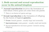 Asexual reproduction involves the formation of individuals whose genes all come from one parent.  There is no fusion of sperm and egg.  Sexual reproduction.