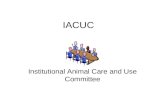 IACUC Institutional Animal Care and Use Committee.