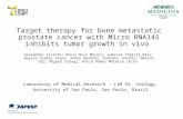 Target therapy for bone metastatic prostate cancer with Micro RNA145 inhibits tumor growth in vivo Alexandre Iscaife; Denis Reis Morais; Sabrina Thalita.