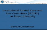 Institutional Animal Care and Use Committee (IACUC) at Ross University Bernard Grevemeyer.