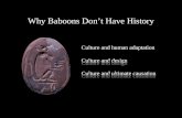 Culture and human adaptation Culture and design Culture and ultimate causation Why Baboons Don’t Have History Culture and design Culture and ultimate causation.