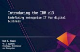 Introducing the IBM z13 Redefining enterprise IT for digital business Mark S. Anzani VP, z Systems Strategy, Resilience and Ecosystem.