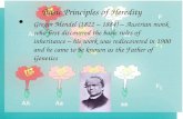 Basic Principles of Heredity Gregor Mendel (1822 – 1884) – Austrian monk who first discovered the basic rules of inheritance – his work was rediscovered.