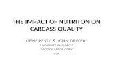 THE IMPACT OF NUTRITON ON CARCASS QUALITY GENE PESTI 1 & JOHN DRIVER 2 1 UNIVERSITY OF GEORGIA 2 JACKSON LABORATORY USA.